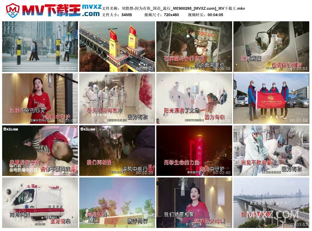 刘悠然-因为有你_国语_流行_ME900295